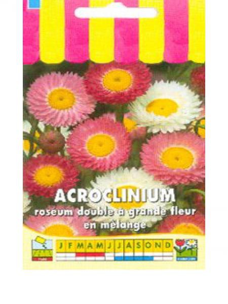 fleur l/égumes acroclinium roseum 120 graines environ fleurs Acroclinio graines de fleurs roses en m/élange id/ée cadeau originale les meilleures graines de plantes fruits rares
