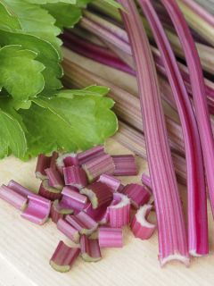 Céleri à côtes Red Giant - Ferme de Ste Marthe