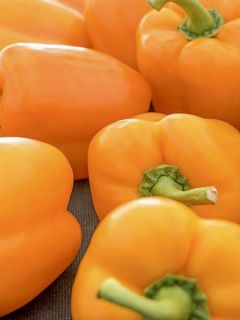 Poivron Milena F1 - Piment à saveur douce