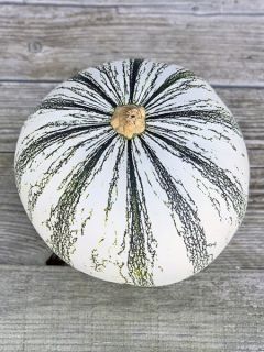 Courge Pepita Squash Bio - Ferme de Sainte Marthe 