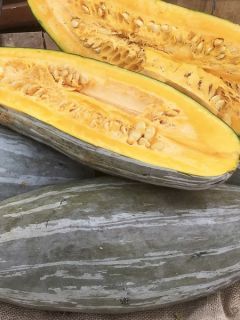 Potiron Banana Blue Bio - Ferme de Sainte Marthe