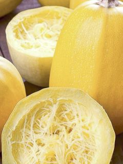 Courge Spaghetti végétal - Vilmorin