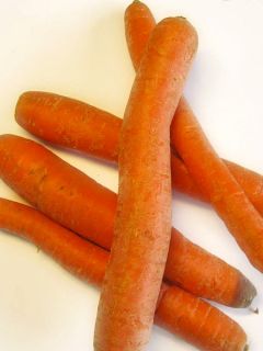 Carotte Berlicum 2