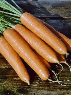 Carotte 'Eskimo'