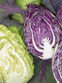 Chou Cabus Colour Dual Mix F1