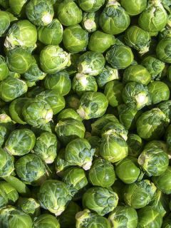 Chou de Bruxelles Amaroso F1