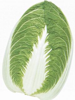 Chou de Chine Pe Tsai Chorus F1