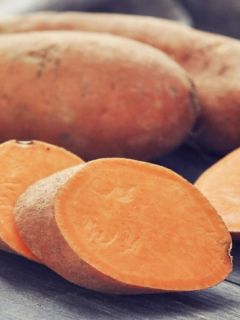 Patate Douce (1 tubercule) - Ipomoea batatas