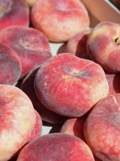P&ecirc;cher nain Fruit me Peach me Donut