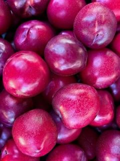 Pluot® Pink Candy® - Prunus Pluot