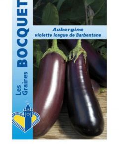 Aubergine 'Violette de Barbentane'