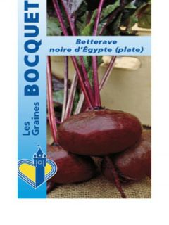 Betterave  'Noire d'Egypte'