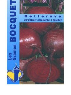 Betterave rouge 'De Détroit améliorée'