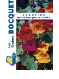 Capucine naine 'Tom Pouce'