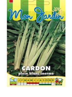 Cardon 'Plein Blanc inerme'
