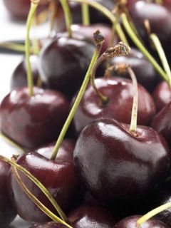 Ceriisier 'Bigarreau Délice de Malicorne'