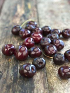 Cerisier 'Bigarreau Moreau'