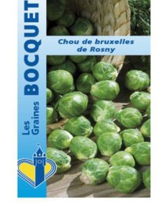 Chou de Bruxelles 'Rosny'