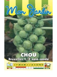 Chou de Bruxelles demi-nain Sanda