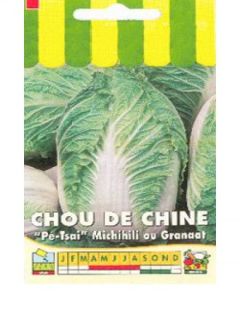 Chou de Chine 'Michihili'