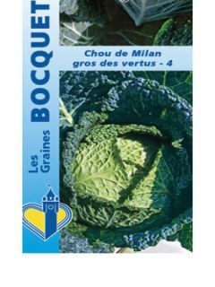 Chou de Milan Gros des Vertus