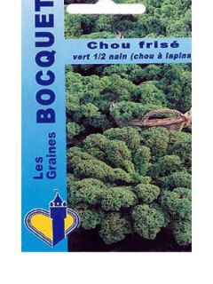 Chou Frisé Halbhoher Vert demi-nain