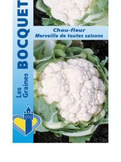 Chou 'Merveille de toutes saisons' Chou 'Merveille de toutes saisons'