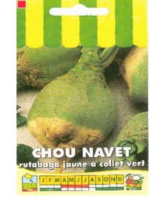 Chou navet rutabage 'Jaune à collet vert'