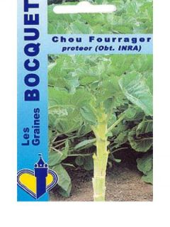 Chou Fourrager Proteor