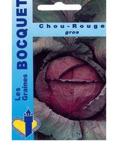 Chou 'Rouge Gros' Chou 'Rouge Gros'
