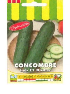 Concombre HYB F1 'Dasher'