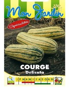 Courge Delicata - Courge Sweet potato
