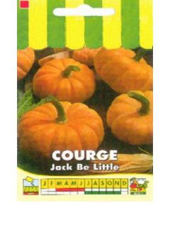 Courge 'Jack Be Little'