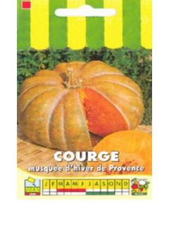 Courge musquée de Provence