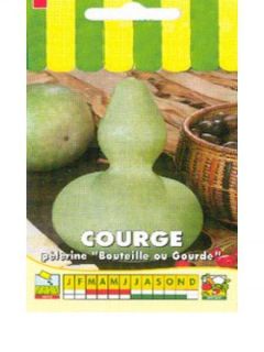 Courge 'Pélerine'
