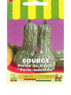 Courge Pleine de Naples - Lunga di Napoli