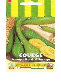 Courge 'Tromba d'Albenga'