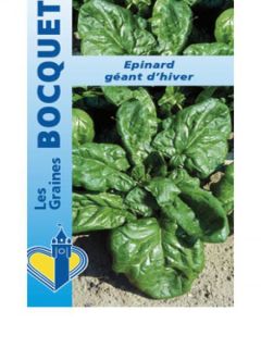 Epinard 'Géant d'hiver'