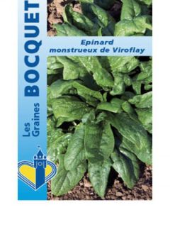 Epinard 'Monstrueux de Viroflay'