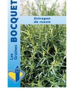 Estragon de Russie