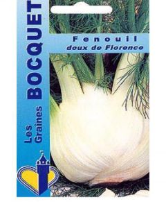 Fenouil 'Doux de Florence'