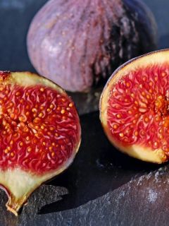 Figuier 'Saint Pierre'