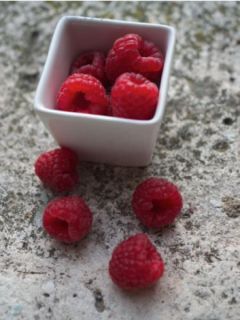 Framboisier Paris (remontant)