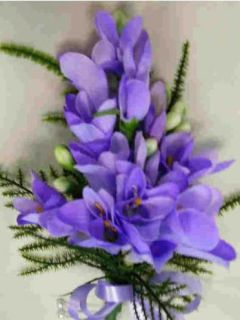 Freesia simple bleu