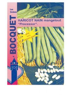 Haricot mangetout 'Processor'
