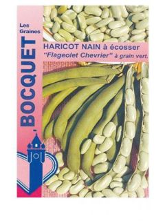 Haricot nain à écosser 'Flageolet Chevrier'