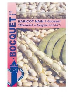 Haricot nain à écosser 'Michelet à longue cosse'