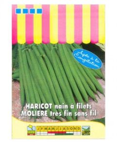 Haricot nain à filet Molière