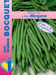 Haricot nain à filet 'Morgane'