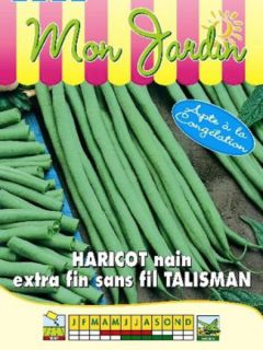 Haricot nain à filet Talisman
